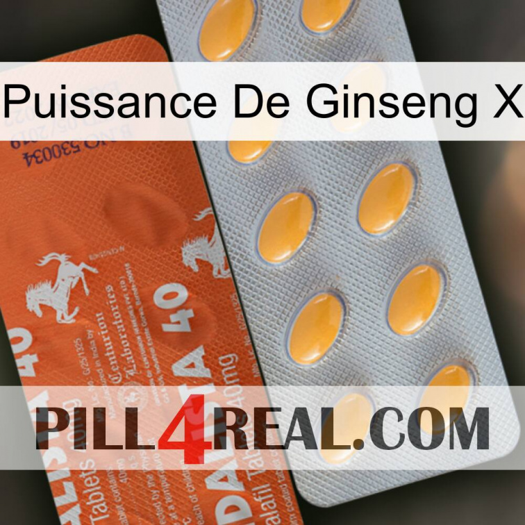 Ginseng Power X 43